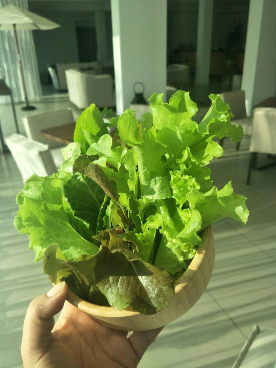 The White Garden Premier Saraburi Hotel Ban Dao Ruang  Eksteriør billede